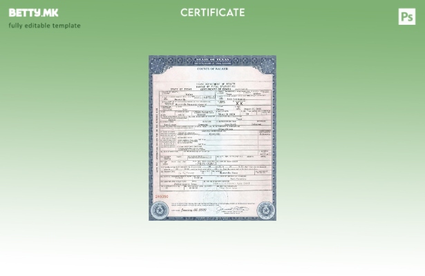 Модерен стил, шаблон за уверение за смрт во државата Тексас во шаблон PSD формат